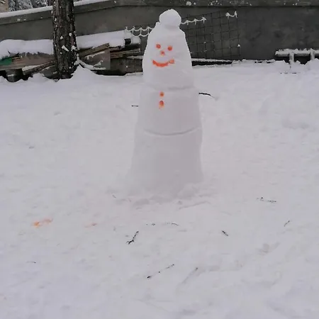 בית הארחה Tara Bozic