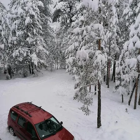 Tara Bozic * קאלודיירסקה בארה