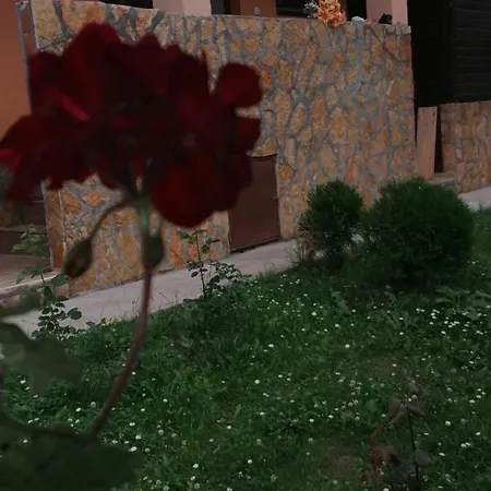 בית הארחה Tara Bozic