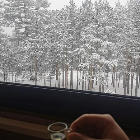 Tara Bozic * קאלודיירסקה בארה