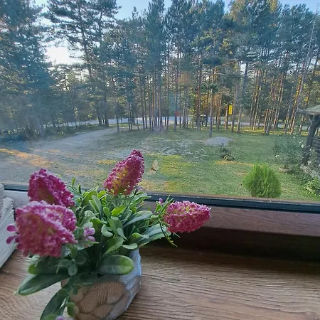 Tara Bozic Guest house *