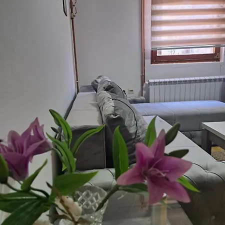 בית הארחה Tara Bozic *